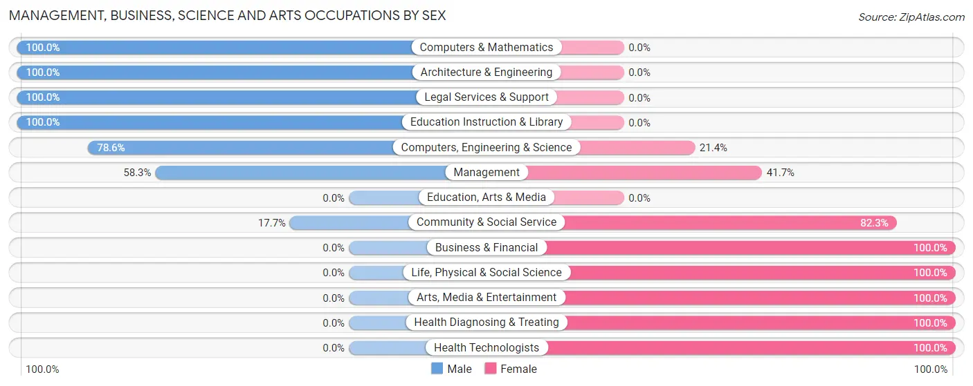 Management, Business, Science and Arts Occupations by Sex in Zip Code 12873