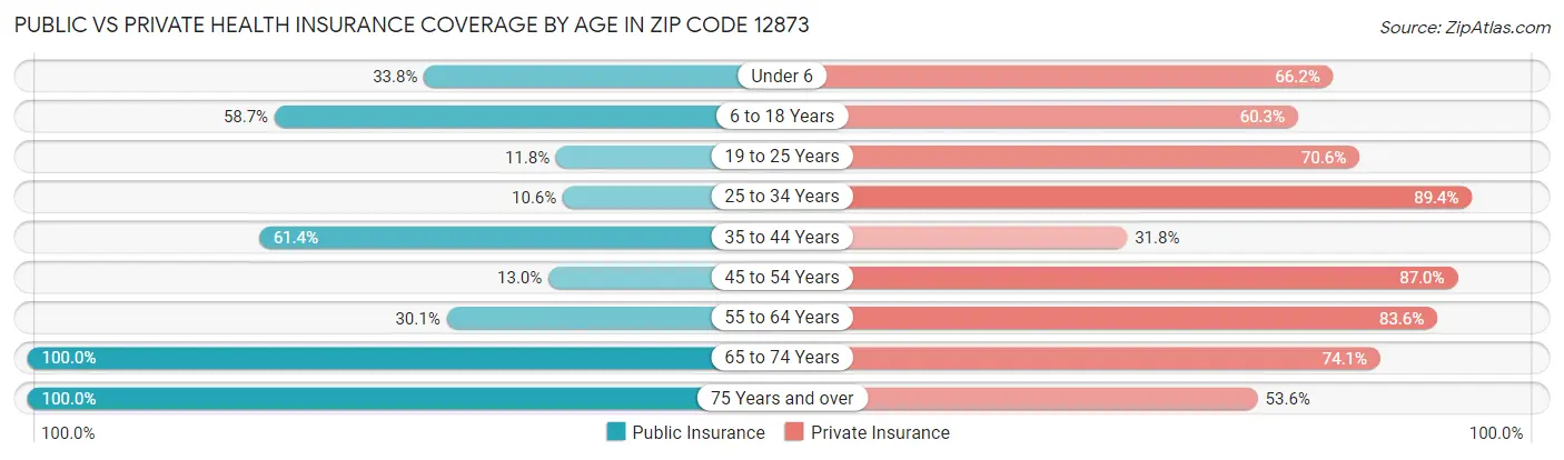 Public vs Private Health Insurance Coverage by Age in Zip Code 12873