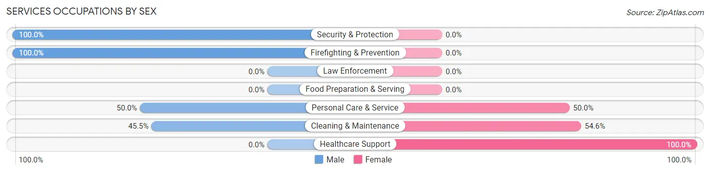 Services Occupations by Sex in Zip Code 12873