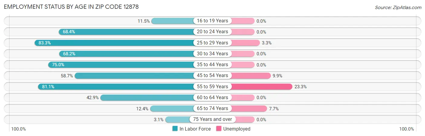 Employment Status by Age in Zip Code 12878
