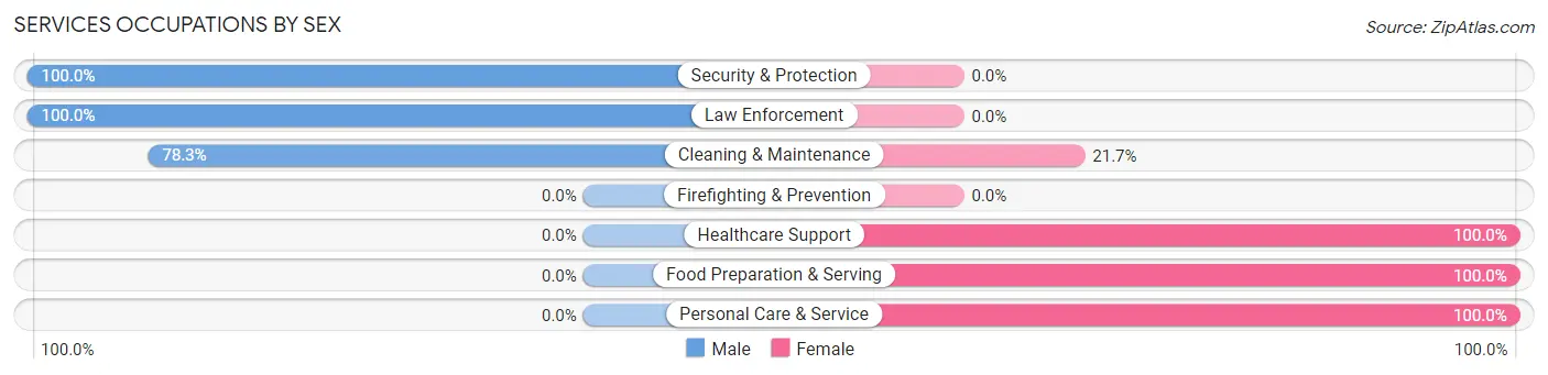 Services Occupations by Sex in Zip Code 12884