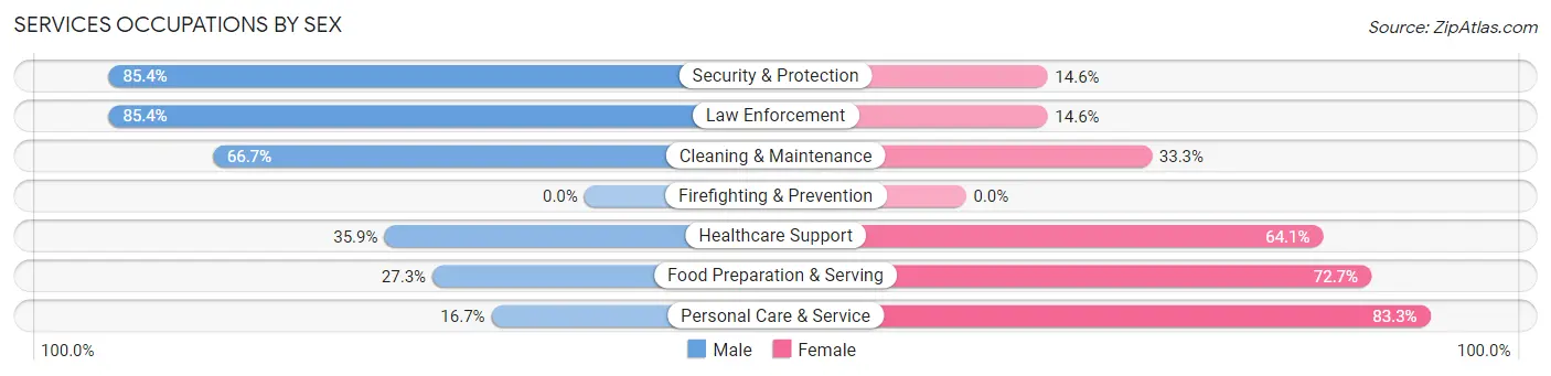 Services Occupations by Sex in Zip Code 12917