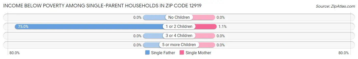 Income Below Poverty Among Single-Parent Households in Zip Code 12919
