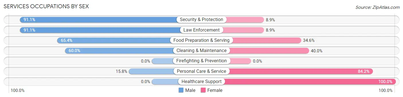 Services Occupations by Sex in Zip Code 12919