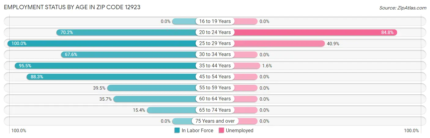 Employment Status by Age in Zip Code 12923