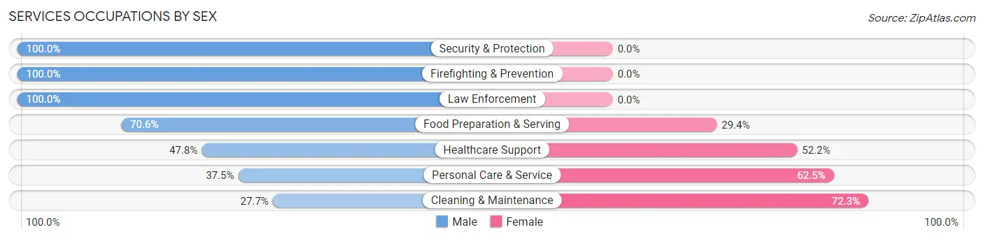 Services Occupations by Sex in Zip Code 12932