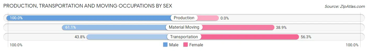 Production, Transportation and Moving Occupations by Sex in Zip Code 12934