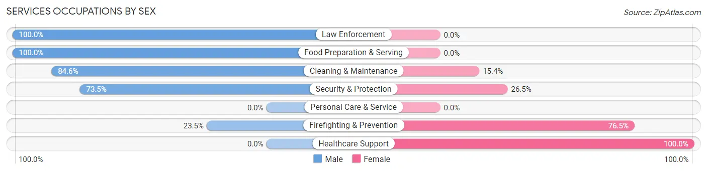 Services Occupations by Sex in Zip Code 12934