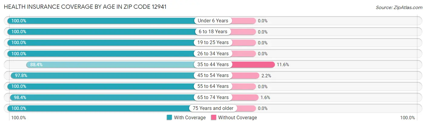 Health Insurance Coverage by Age in Zip Code 12941