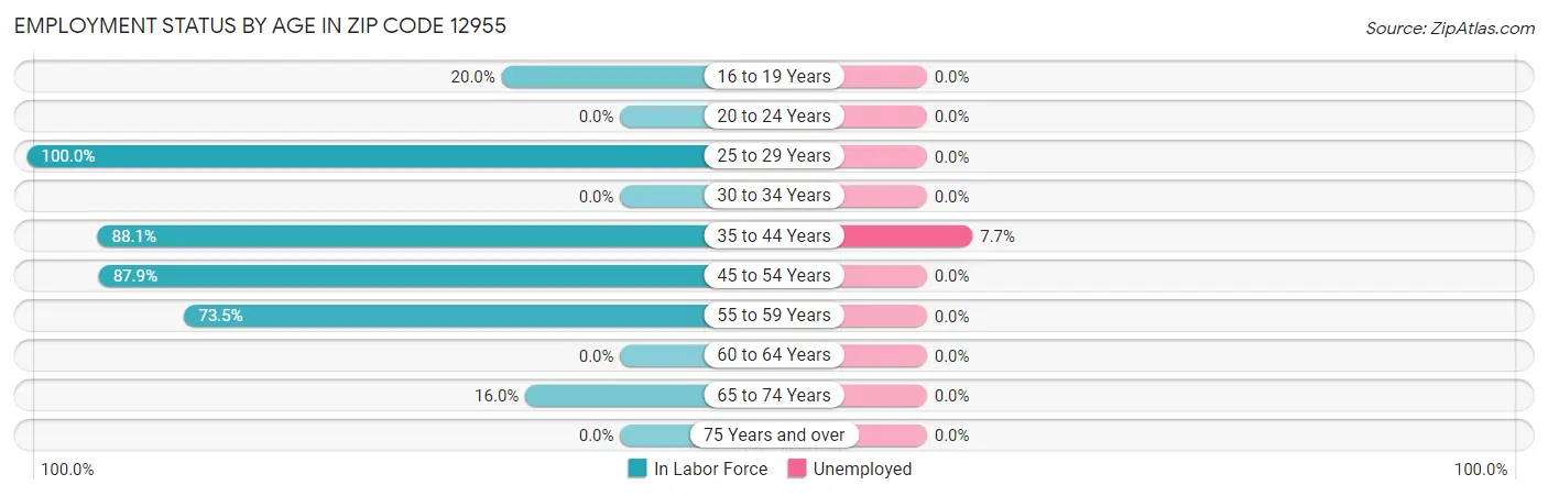 Employment Status by Age in Zip Code 12955