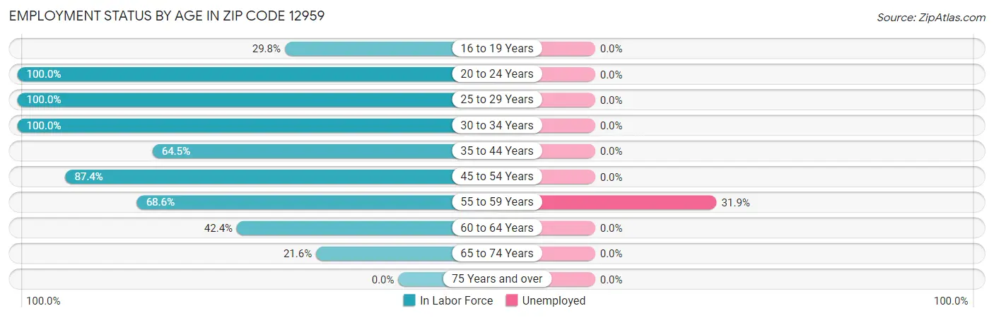 Employment Status by Age in Zip Code 12959