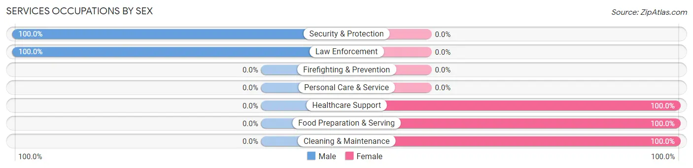 Services Occupations by Sex in Zip Code 12959