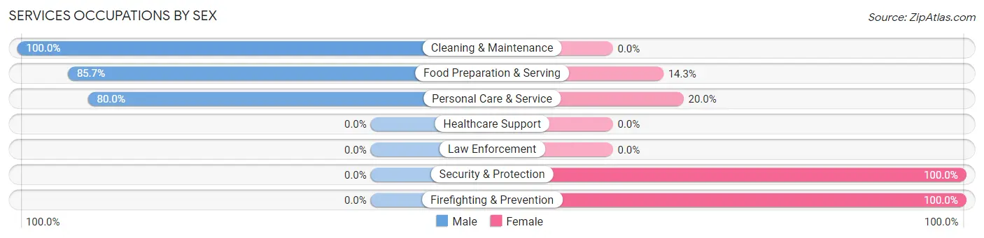 Services Occupations by Sex in Zip Code 12970