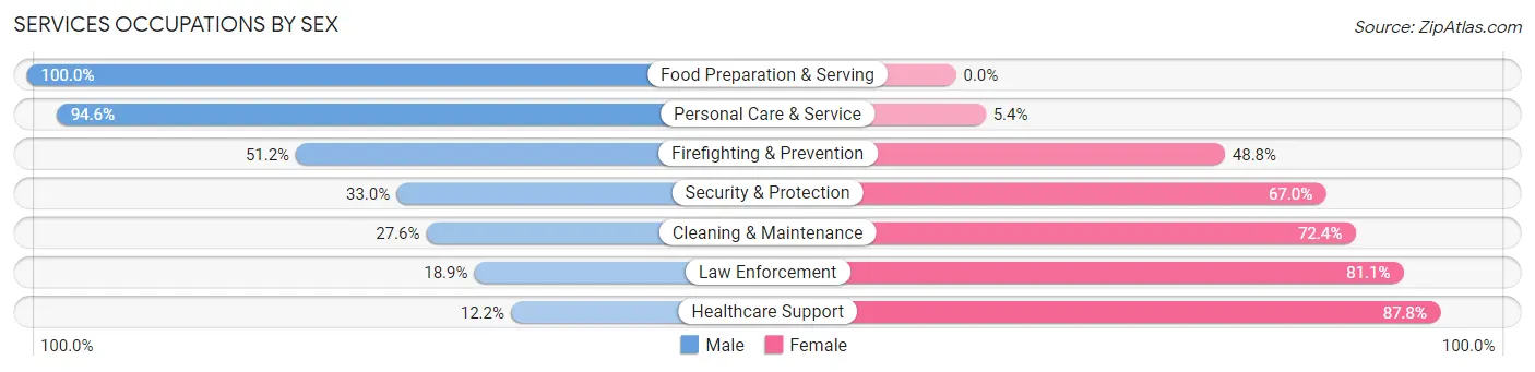 Services Occupations by Sex in Zip Code 12972