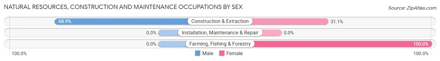 Natural Resources, Construction and Maintenance Occupations by Sex in Zip Code 12974