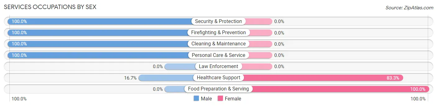 Services Occupations by Sex in Zip Code 12974