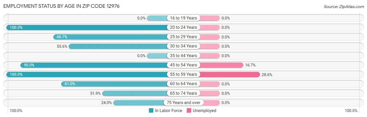 Employment Status by Age in Zip Code 12976