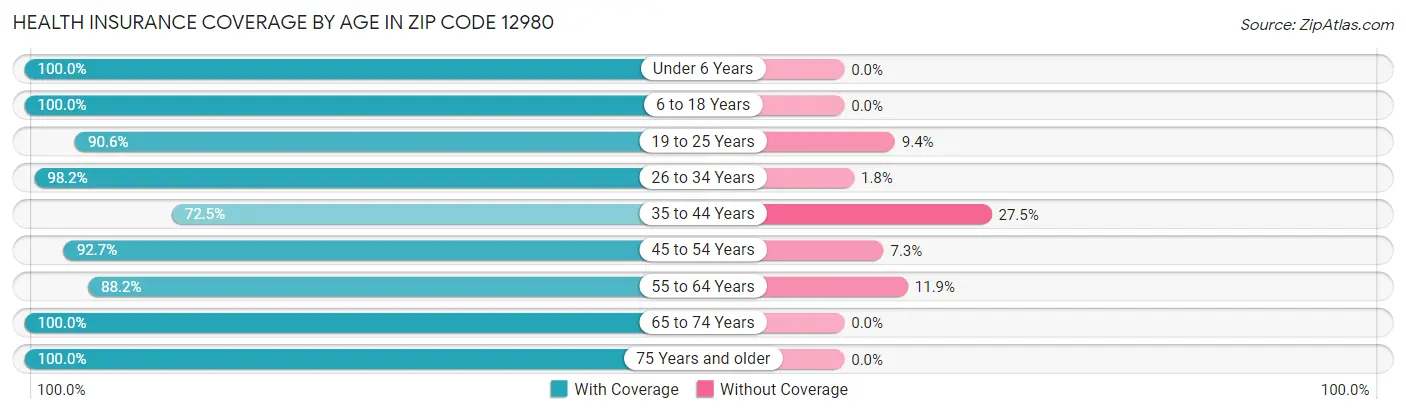 Health Insurance Coverage by Age in Zip Code 12980
