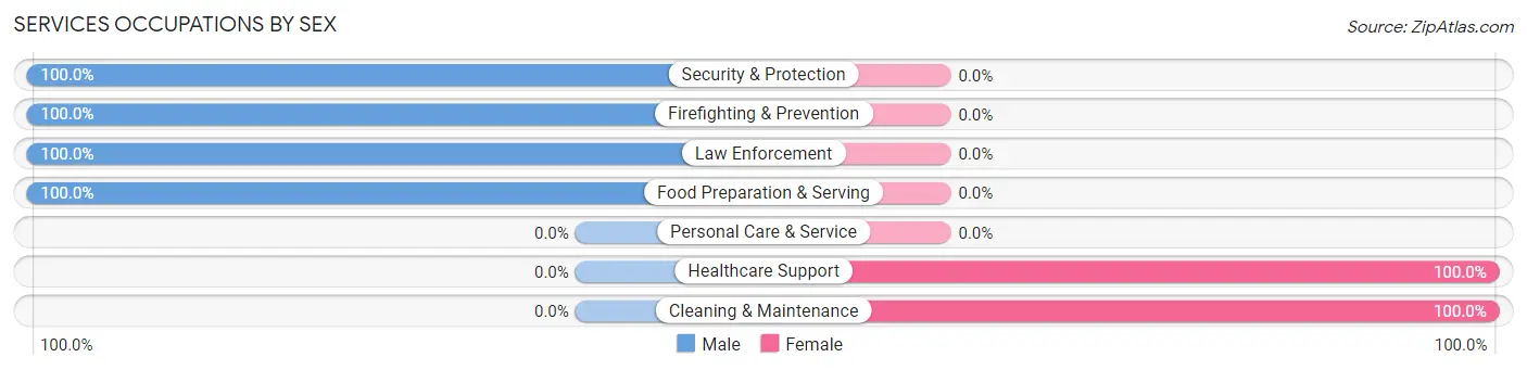 Services Occupations by Sex in Zip Code 12985