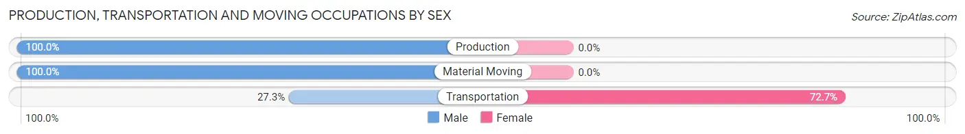 Production, Transportation and Moving Occupations by Sex in Zip Code 13028