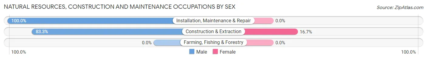 Natural Resources, Construction and Maintenance Occupations by Sex in Zip Code 13029