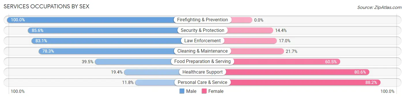 Services Occupations by Sex in Zip Code 13029
