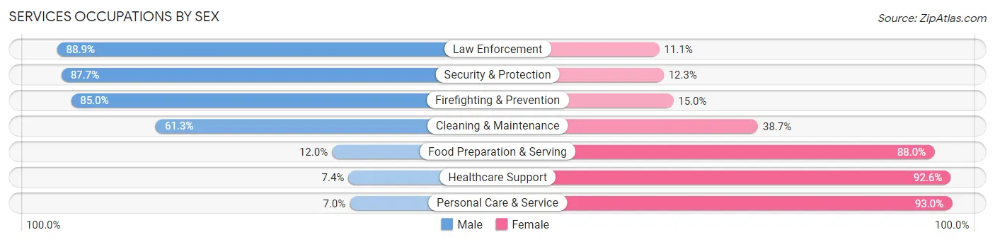 Services Occupations by Sex in Zip Code 13033