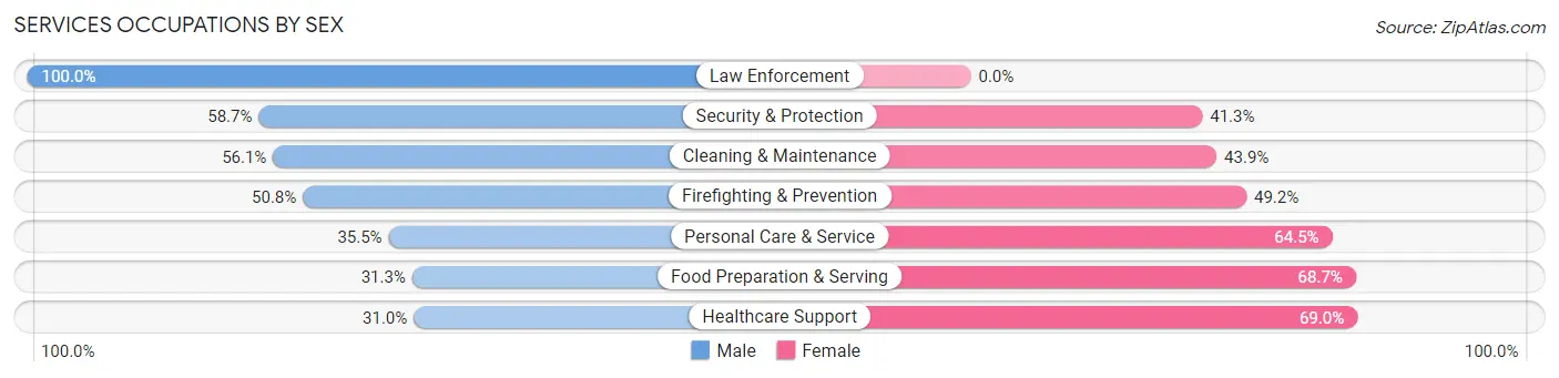 Services Occupations by Sex in Zip Code 13035