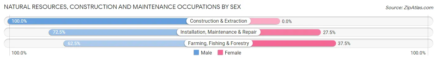 Natural Resources, Construction and Maintenance Occupations by Sex in Zip Code 13037