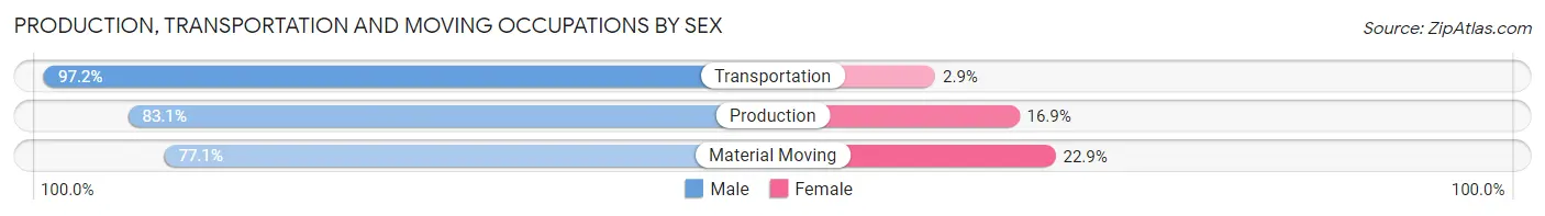 Production, Transportation and Moving Occupations by Sex in Zip Code 13039