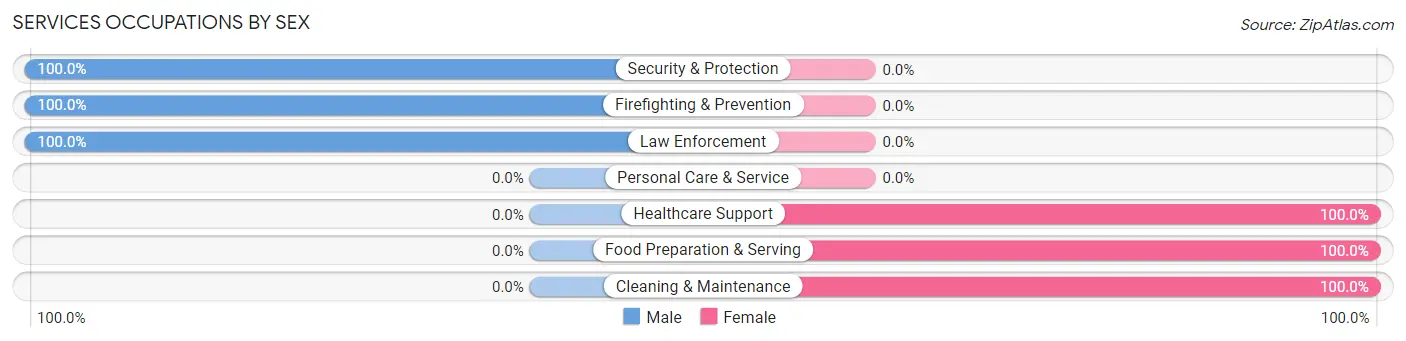 Services Occupations by Sex in Zip Code 13054