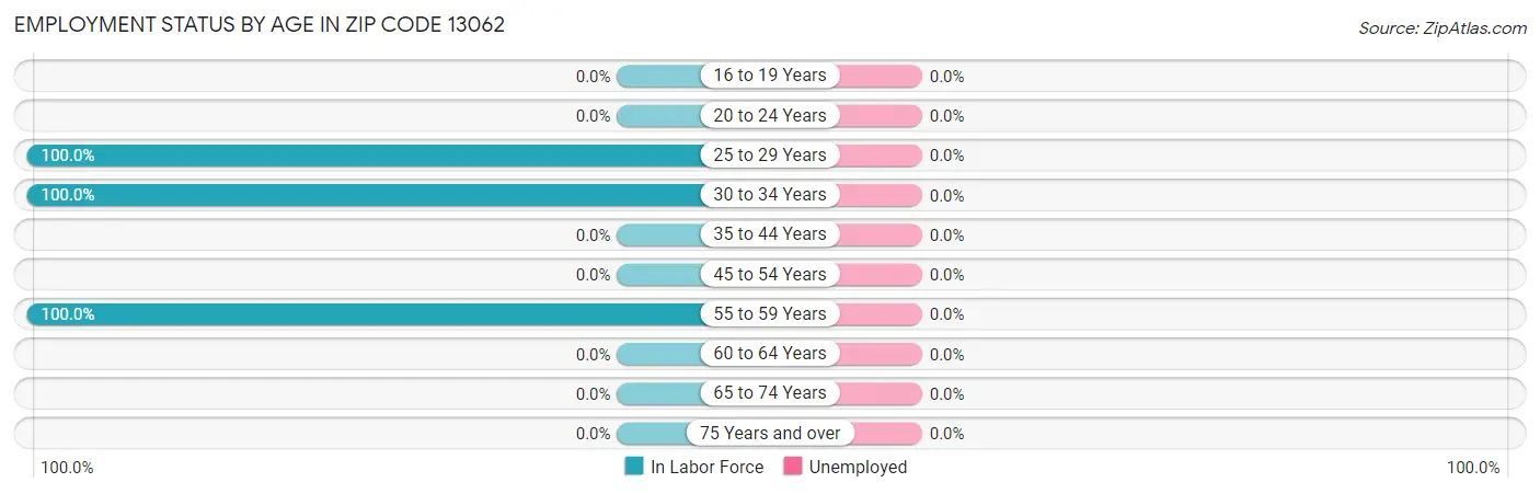 Employment Status by Age in Zip Code 13062