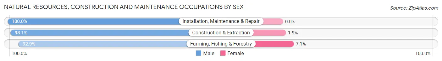 Natural Resources, Construction and Maintenance Occupations by Sex in Zip Code 13063