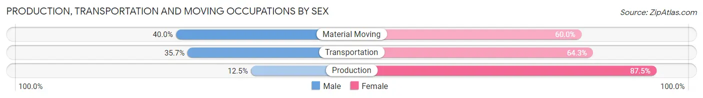Production, Transportation and Moving Occupations by Sex in Zip Code 13063