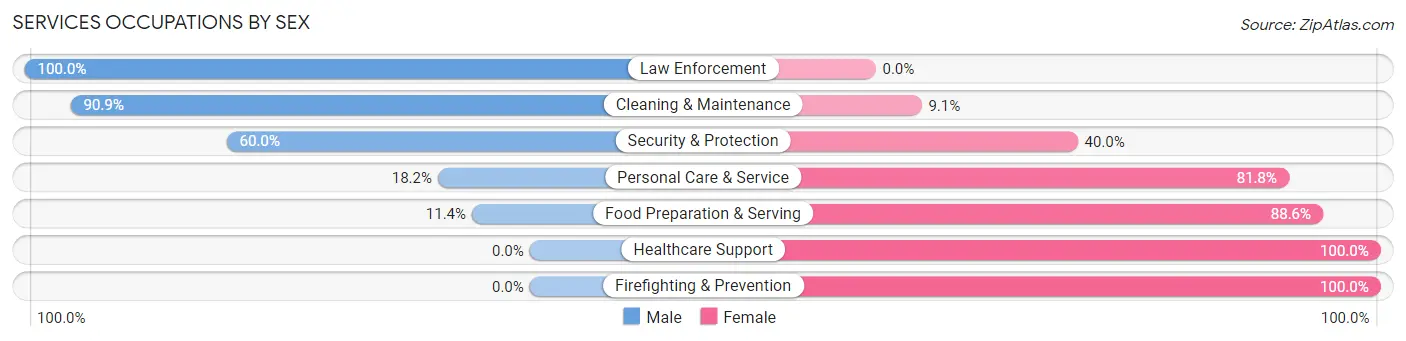 Services Occupations by Sex in Zip Code 13063