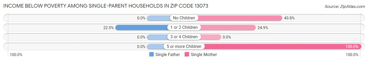 Income Below Poverty Among Single-Parent Households in Zip Code 13073