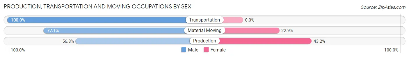 Production, Transportation and Moving Occupations by Sex in Zip Code 13076