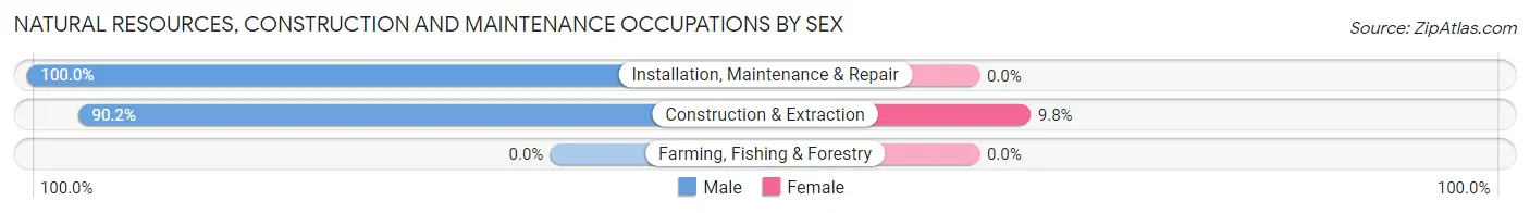 Natural Resources, Construction and Maintenance Occupations by Sex in Zip Code 13084