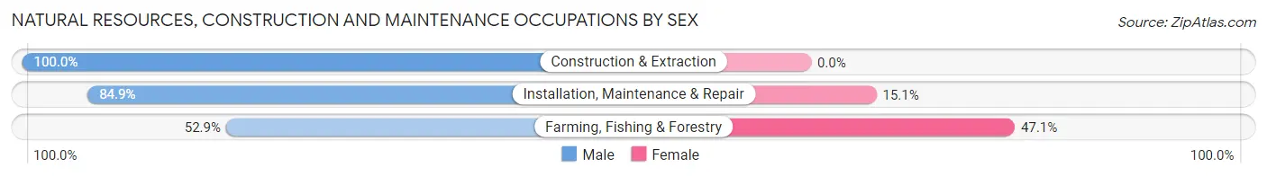 Natural Resources, Construction and Maintenance Occupations by Sex in Zip Code 13088