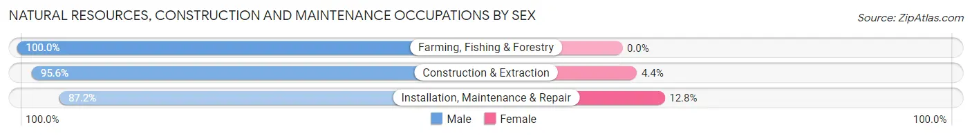 Natural Resources, Construction and Maintenance Occupations by Sex in Zip Code 13101