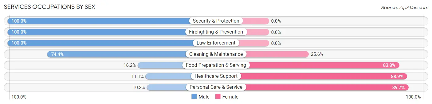 Services Occupations by Sex in Zip Code 13101