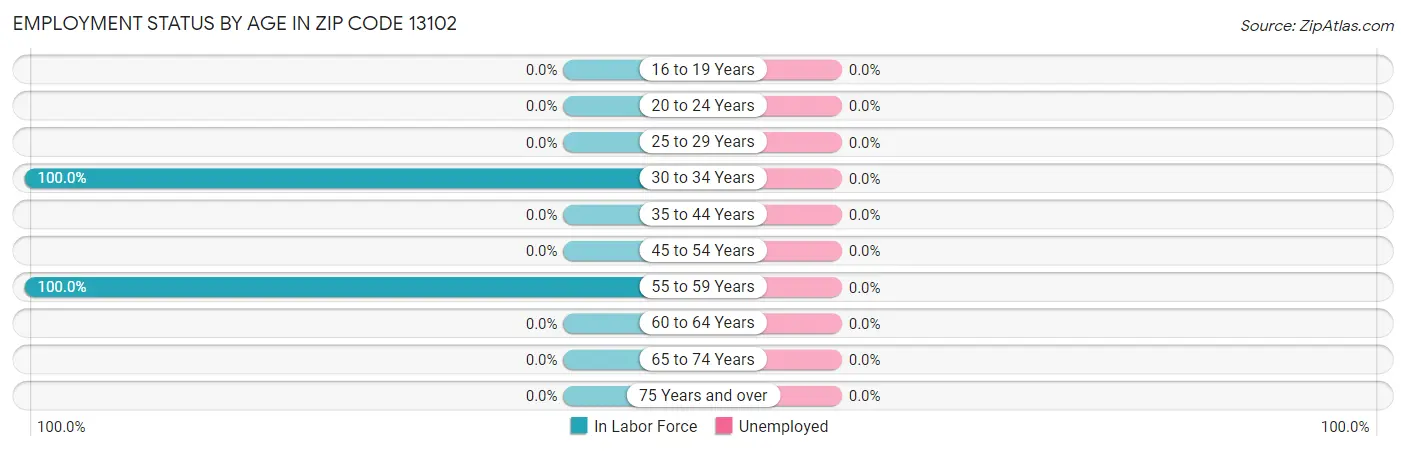 Employment Status by Age in Zip Code 13102