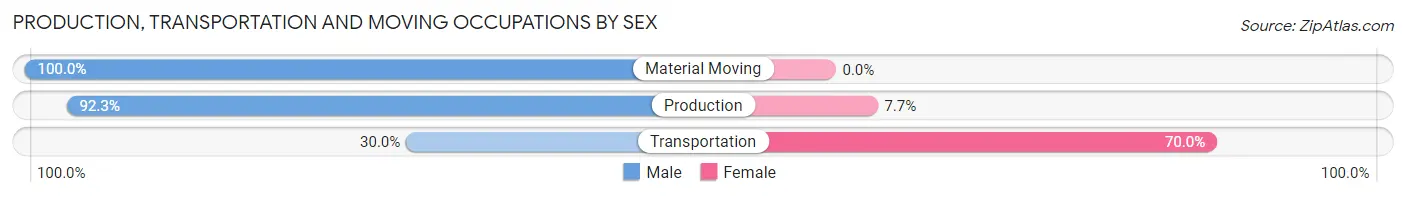 Production, Transportation and Moving Occupations by Sex in Zip Code 13110