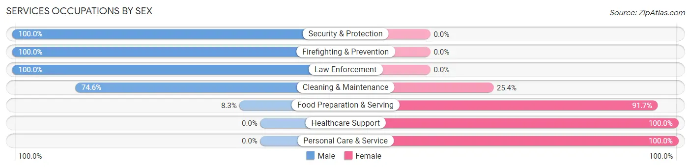 Services Occupations by Sex in Zip Code 13110