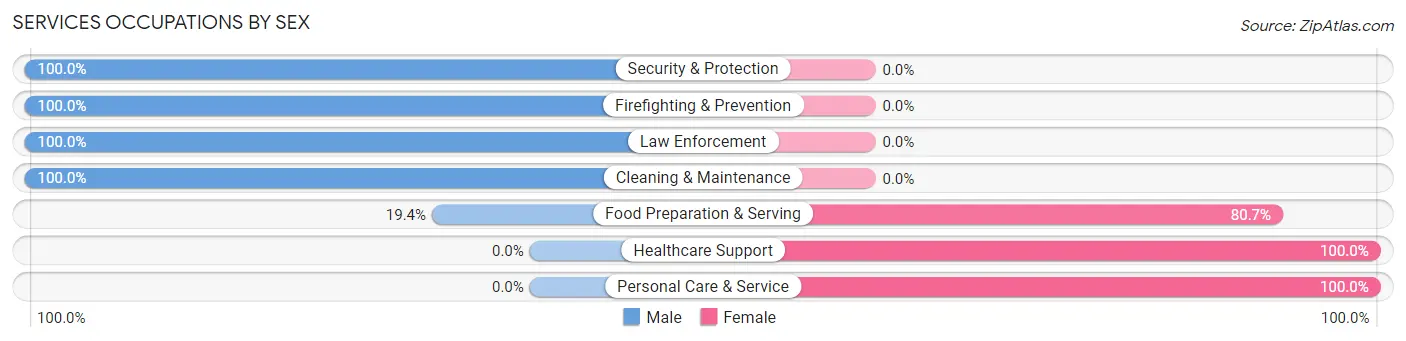 Services Occupations by Sex in Zip Code 13111