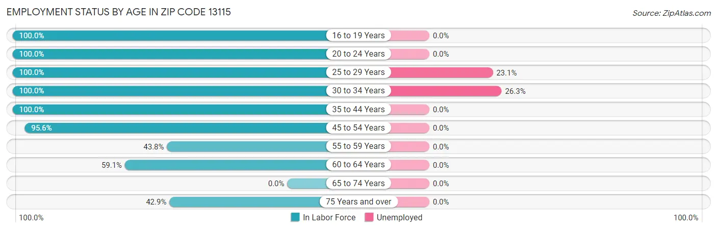 Employment Status by Age in Zip Code 13115