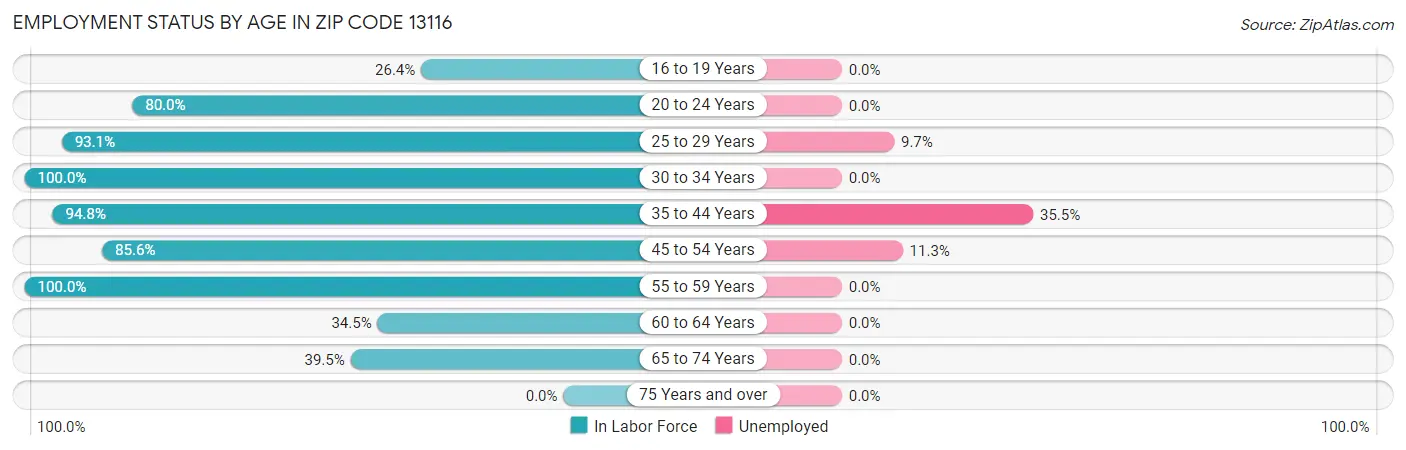 Employment Status by Age in Zip Code 13116
