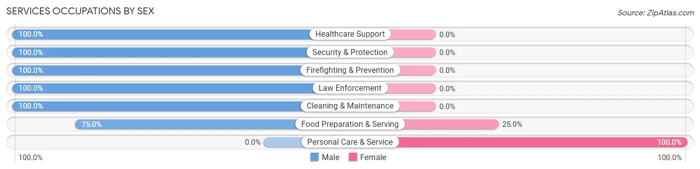Services Occupations by Sex in Zip Code 13116