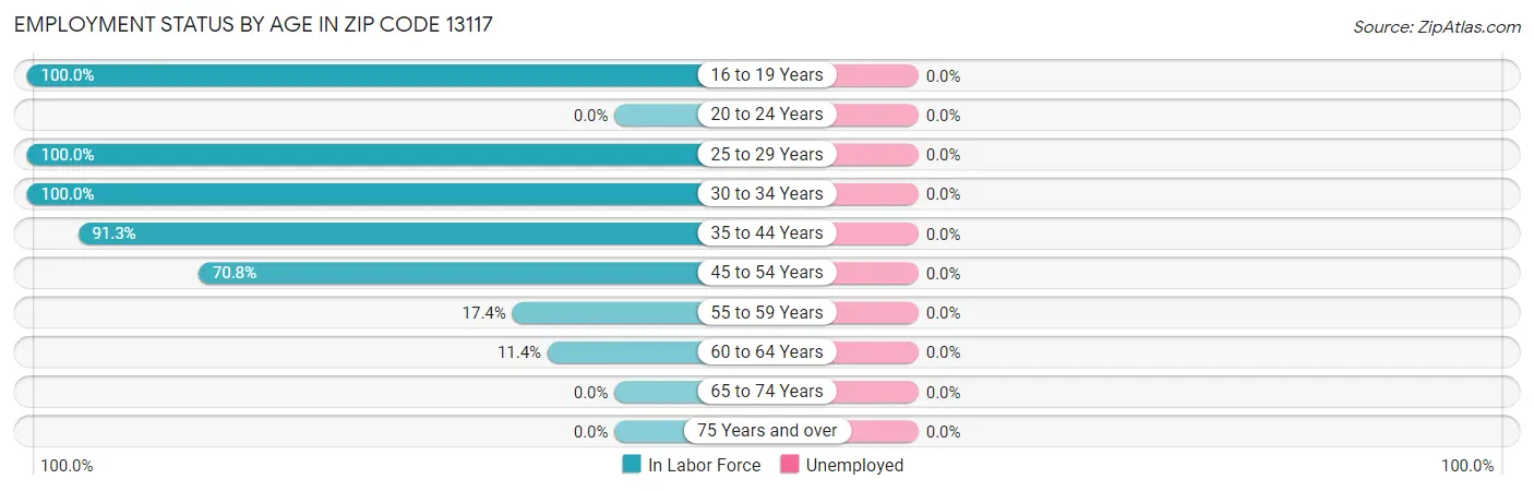 Employment Status by Age in Zip Code 13117