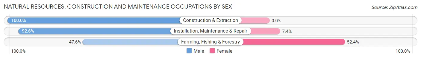 Natural Resources, Construction and Maintenance Occupations by Sex in Zip Code 13118
